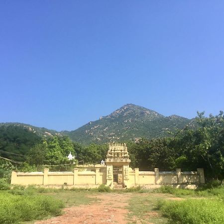 Sathya Guest House Тіруваннамалай Екстер'єр фото