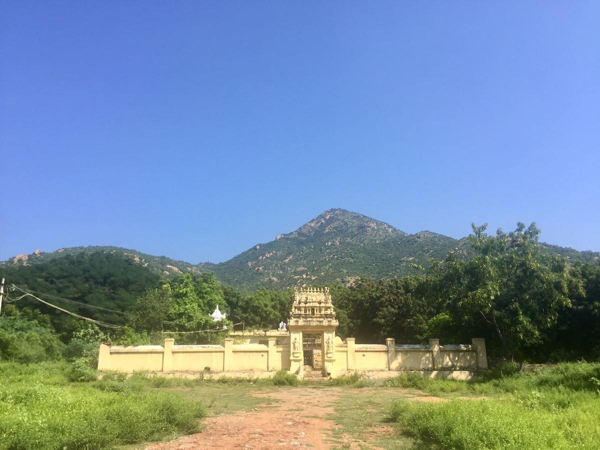 Sathya Guest House Тіруваннамалай Екстер'єр фото